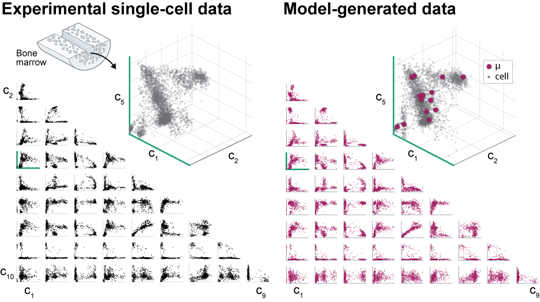 Asset 1.png