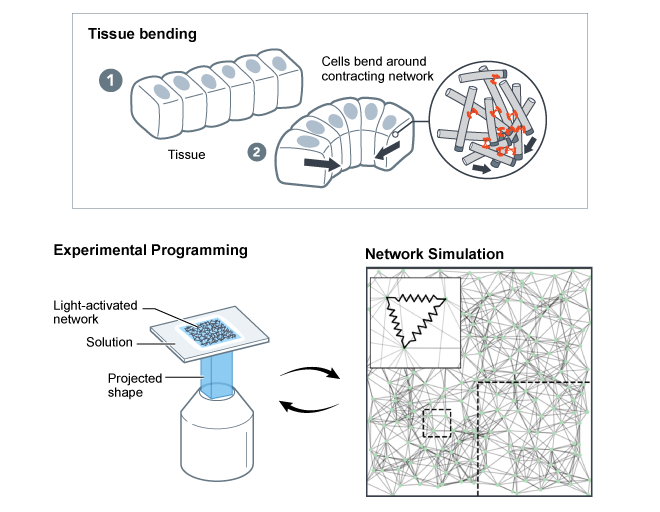 Networkbending4-04.png